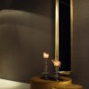 rapture-harvey-long-mirror-dsc2517